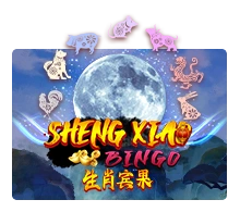 Sheng Xiao Bingo - IDAGENT138